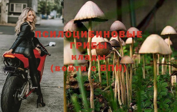 MDMA Premium VHQ Кинешма