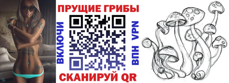 Псилоцибиновые грибы Magic Shrooms  Купить  Белинский 