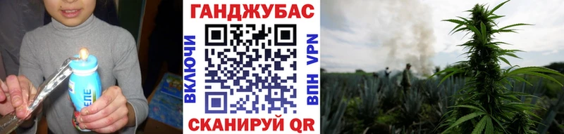 Шишки марихуана гибрид Белинский